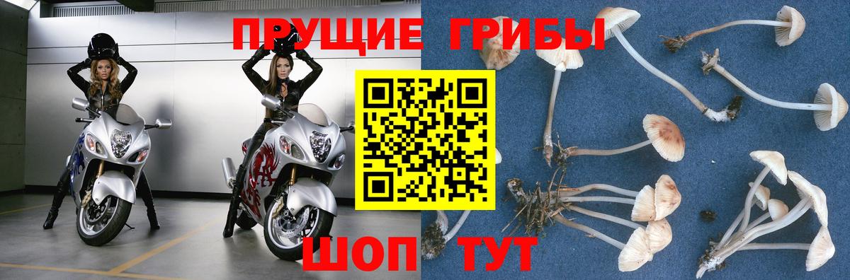 Кузнецк  Галлюциногенные грибы MAGIC MUSHROOMS  Галлюциногенные грибы прущие грибы  Вход с VPN 